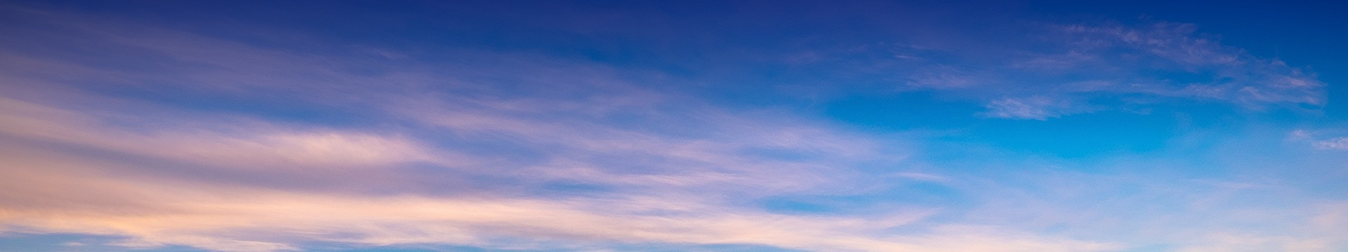 上海滨海古园